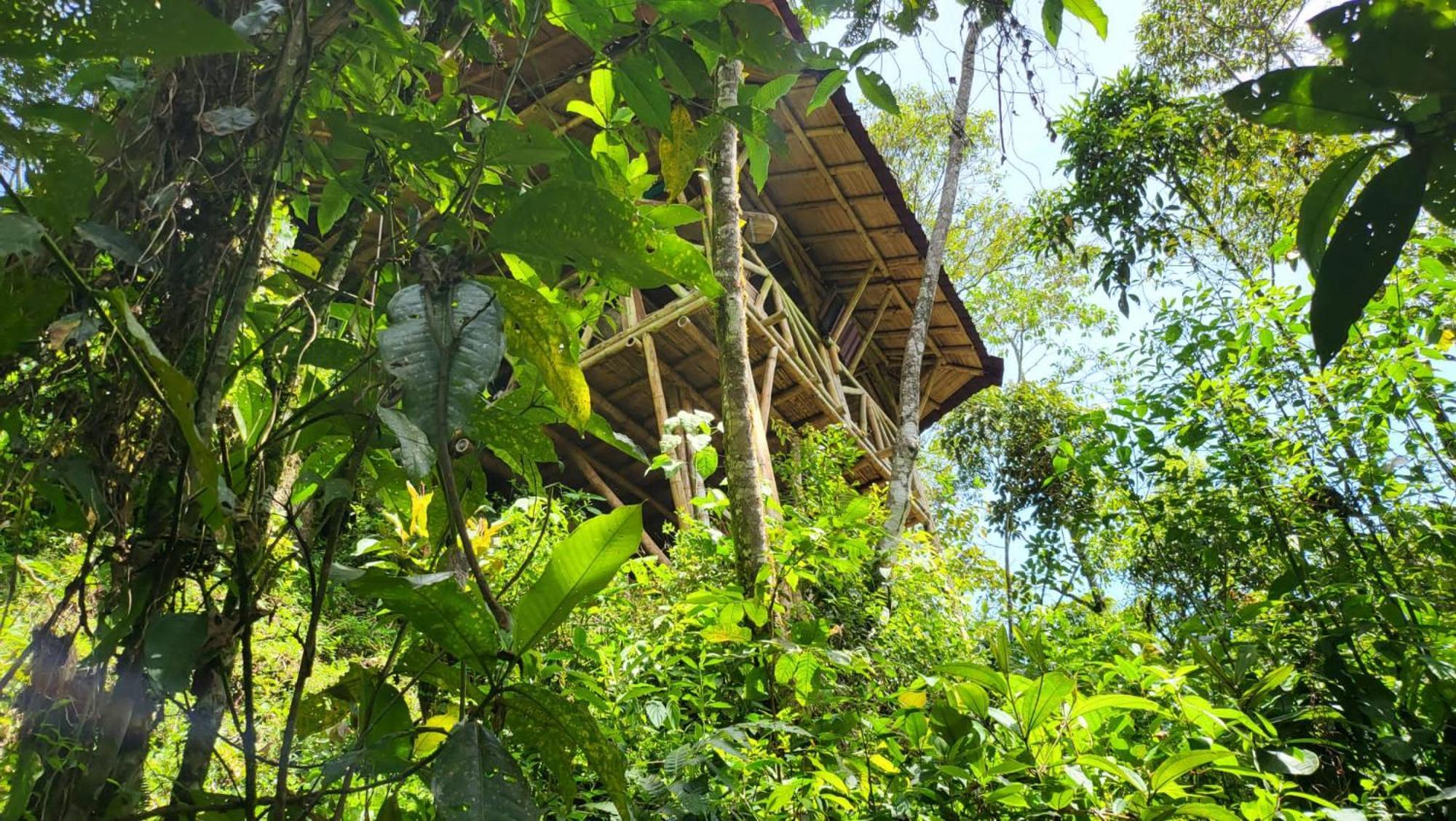 Ecofinca Fuente Alegre Cocorná Exterior foto