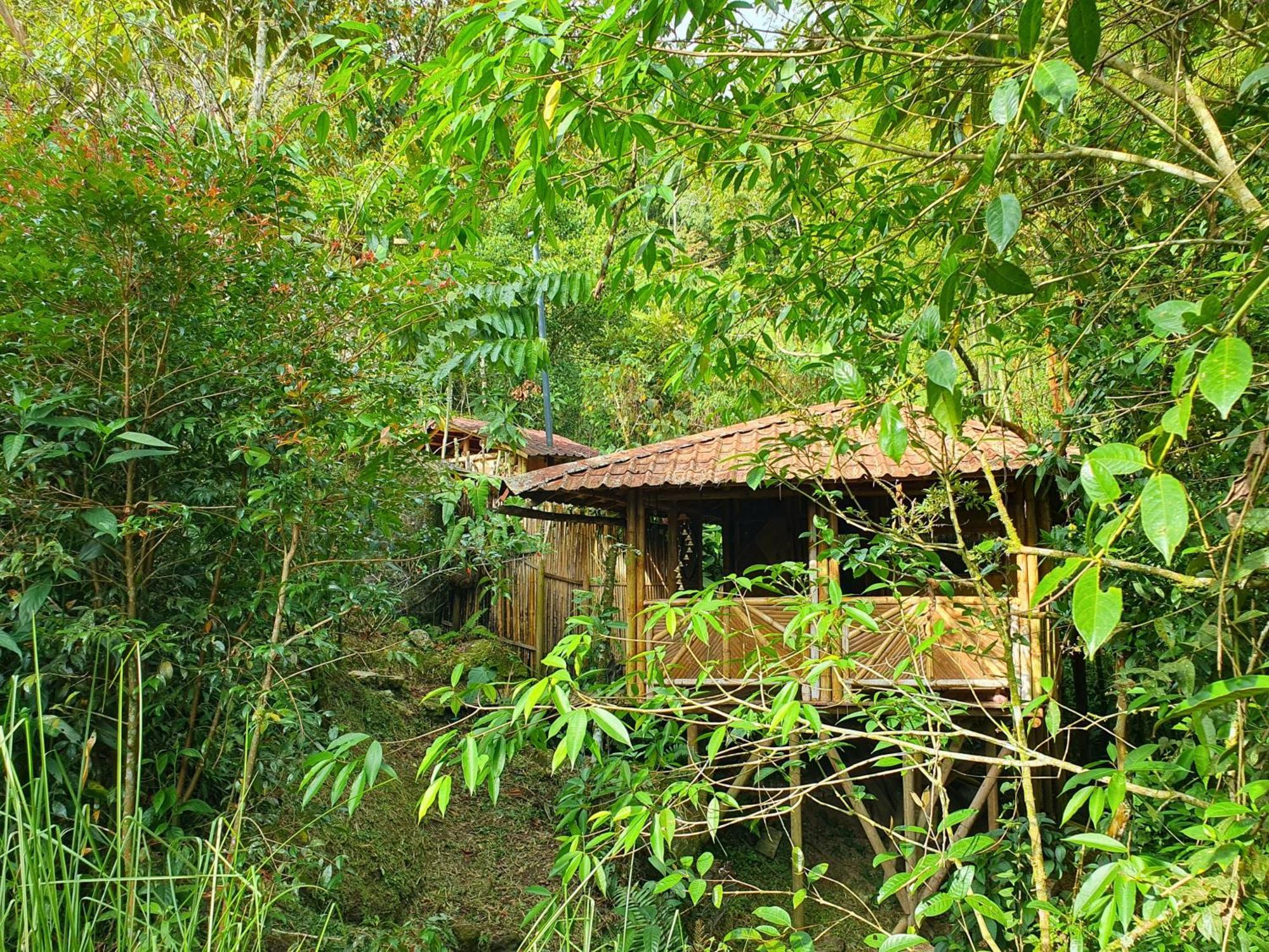 Ecofinca Fuente Alegre Cocorná Habitación foto